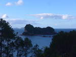(190'547) - Insel und B�ume am 20.