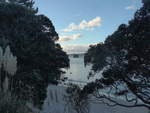(190'599) - Insel und B�ume am 20.