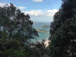 (190'751) - B�ume am Mount Maunganui am 21.