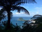 (190'754) - Baume am Mount Maunganui am 21.