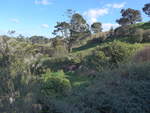 (190'905) - Hobbiton-Landschaft mit B�umen am 22.