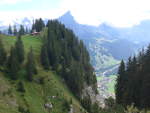 (195'960) - Alph�tte und Tannen mit Blick auf Kandersteg am 18.