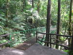(211'175) - Puente El Sa�no im Mistico am 14.