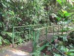 (211'181) - Puente Escalera de Mono im Mistico am 14.