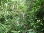 (211'198) - Catarata Morpho Azul im Mistico am 14.