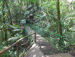 (211'209) - Puente El Olingo im Mistico am 14.