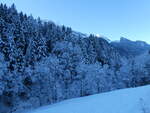 (243'620) - Verschneiter Wald am 8.