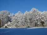 (245'191) - Winter in Thun-Lerchenfeld am 19.