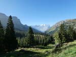 (255'766) - Das Wetterhorn am 1.