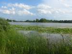 (152'690) - Seerosen im Lily Lake am 13.