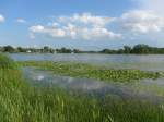 (152'691) - Seerosen im Lily Lake am 13.