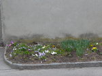 (169'447) - Fr�hlingserwachen am 25.