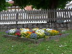 (193'287) - Blumen am 21.