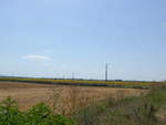 (207'054) - Sonnenblumenfeld am 3.