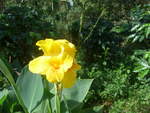 (211'630) - Natur am 19.