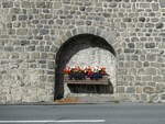 (241'095) - Blumenschmuck in der Mauer am 12.