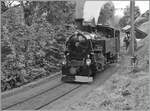 Die BFD HG 3/4 N° 3 der Blonay Chamby Bahn verlässt in Chantemerle; wobei es viel Fingerspitzengefühl erfordert, die Lok mit dem schweren Zug auf den feuchten Schienen in der straken Steigung in Bewegung zu bringen. 

8. September 2024