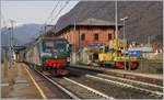 Die Trenord E 464 255 mit ihrem Regionalzug nach Domodossola beim Halt in Premosello Chiavenda.