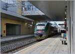 Neben den halbstünlich verkehrenden TILO Zügen (S40 und S50) nutzen auch die RE Milano - Porto Ceresio die Strecke Varese - Mendrisio bis zur Abzweigung P.M Bevera bei Km 7.525 und bedienen neben Varese auch die beiden Station Induno Olona und Arcisate. 
Im Bild ein Trenord ETR 425 als RE 5308 nach Porto Ceresio beim Halt in Induno Olona.

27. April 2019