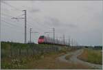 Ein Grund der Reise zur Schnellfahrstrecke Torino - Milano war, wie schon bei der Schnellfahrstrecke Paris - Lyon und Madrid - Barcelona, die Möglichkeit den formschönen ETR 400 in voller Fahrt zu fotografieren. Im FS on-line Fahrplan werden die mit ETR 400 geführten Frecciarossa Züge als  Frecciarossa 1000  bezeichnet. Gegen 10:30 waren gleich zwei solche Züge im fünf Minuten Abstand bei der von mir ausgesuchten Fotostelle bei Livorno Ferraris in der Po-Ebene vorgesehen. Etwas später als von mir Berechnet kam dann auch schon der erste  ETR400  angefahren...

... erst beim Auswerten der Bilder ein paar Tage später entdeckte ich, dass mir da kein ETR 400 sondern der FS Trenitalia ETR 600 004 vor die Kamera fuhr. Dieser  kleine Unterschied  war mir bei der raschen Vorbeifahrt des Zuges nicht aufgefallen, zudem passt dem ETR 600 die neue Frecciarossa Lackierung perfekt. Nachklicken im on-line Fahrplan haben in der Folge ergeben, dass die Leistung des FR 9508 wirklich mit einem ETR 600 angeboten wird. Der  nur  250 km/h schnelle Zug war auf dem Weg von Trieste (06:00) nach Torino Porta Nuova (an 11:00).

15. Juni 2024