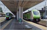 Moderner Trenord Verkehr: der Trenord ETR 103 117 wartet auf die Abfarht nach Luino und rechts im Bild erreicht ein ETR 421 von Domodossla kommend den Bahnhof von Gallarate.