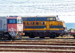 Leider hielt unser IC, für ein besseres Bild sehr, am 16.07.2022 im Bahnhof Paola (Kalabrien), sehr ungeschickt....