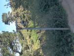 (190'929) - Laterne im Hobbiton am 22.