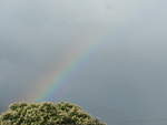 (211'307) - Regenbogen am 15. November 2019 in Nuevo Arenal, Los H�roes