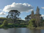 (190'978) - Hobbiton-Landschaft mit B�umen und See am 22.