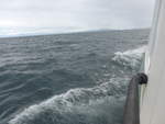 (191'246) - Auf dem Lake Taupo am 24.