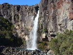 (191'338) - Der Taraniki-Wasserfall am 25.