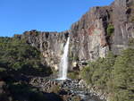 (191'339) - Der Taraniki-Wasserfall am 25.