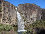 (191'350) - Der Taraniki-Wasserfall am 25.