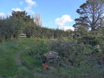 (190'871) - Garten im Hobbiton am 22.
