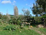 (190'884) - Garten im Hobbiton am 22.