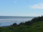 (191'881) - Wiese am Meer am 29.