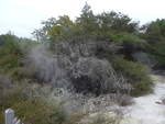 (191'014) - Im Wai-O-Tapu Thermal Wonderland am 23.