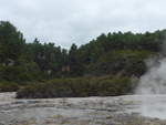 (191'133) - Im Wai-O-Tapu Thermal Wonderland am 23.