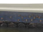 (212'128) - Flederm�use am Boot am 22.