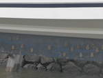 (212'129) - Flederm�use am Boot am 22.