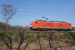 Tfzf für 189 089 durch Tilburg Oude Warande am 18 März 2026.
