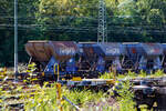 Da sie gut bedienbar und dosierbar sind, sind sie im Gleisbau sehr beliebt. Ein Wagenzug vierachsiger offene Schüttgutwagen mit dosierbarer Schwerkraftentladung (Schotterwagen) der Gattung Fccpps der voestalpine Railpro B.V (NL), ganz links z.B. 23 84 6437 154-7 NL-RP, abgestellt am 26 August 2025 im Rbf Betzdorf/Sieg.
Diese Wagen wurden ab 1962 von Talbot in Aachen für die NS als Fcs oder als Tds gebaut. Ab 1982 wurden die Wagen von den Firmen Jansen und WBA (NL) zu Fccpps umgebaut. Die Firma  Railpro  mietete diese Wagen ab 1995 an bzw. kaufte sie 2002 von der NS und ließ sie aufarbeiten, dabei erhielten sie einen blauen Neuanstrich und den Schriftzug railpro. Seit 2002 gehört Railpro zur der österreichischen Voestalpine Gruppe.
Bei den Gleisbaufirmen sind sie sehr beliebt, da sie sich der Schotter beim Einschottern sehr gut dosieren lässt. Der Auslauf ist verstellbar, daher lässt sich der Schotter auch gut verteilen.
TECHNISCHE DATEN:
Spurweite: 1.435 mm (Normalspur)
Anzahl der Achsen: 2
Länge über Puffer: 9.640 mm
Achsabstand: 6.000 mm
Eigengewicht: 10.340 kg
Ladevolumen: 22 m³
Max. Ladegewicht: 28.200 kg (ab Streckenklasse C)
Höchstgeschwindigkeit: 100 km/h (beladen) 120 km/h (leer)
Bauart der Bremse: O-GP (LL)
Bremssohle: IB 116
Handbremse: keine Da sie gut bedienbar und dosierbar sind, sind sie im Gleisbau sehr beliebt. Ein Wagenzug vierachsiger offene Schüttgutwagen mit dosierbarer Schwerkraftentladung (Schotterwagen) der Gattung Fccpps der voestalpine Railpro B.V (NL), ganz links z.B. 23 84 6437 154-7 NL-RP, abgestellt am 26 August 2025 im Rbf Betzdorf/Sieg.
Diese Wagen wurden ab 1962 von Talbot in Aachen für die NS als Fcs oder als Tds gebaut. Ab 1982 wurden die Wagen von den Firmen Jansen und WBA (NL) zu Fccpps umgebaut. Die Firma  Railpro  mietete diese Wagen ab 1995 an bzw. kaufte sie 2002 von der NS und ließ sie aufarbeiten, dabei erhielten sie einen blauen Neuanstrich und den Schriftzug railpro. Seit 2002 gehört Railpro zur der österreichischen Voestalpine Gruppe.
Bei den Gleisbaufirmen sind sie sehr beliebt, da sie sich der Schotter beim Einschottern sehr gut dosieren lässt. Der Auslauf ist verstellbar, daher lässt sich der Schotter auch gut verteilen.
TECHNISCHE DATEN:
Spurweite: 1.435 mm (Normalspur)
Anzahl der Achsen: 2
Länge über Puffer: 9.640 mm
Achsabstand: 6.000 mm
Eigengewicht: 10.340 kg
Ladevolumen: 22 m³
Max. Ladegewicht: 28.200 kg (ab Streckenklasse C)
Höchstgeschwindigkeit: 100 km/h (beladen) 120 km/h (leer)
Bauart der Bremse: O-GP (LL)
Bremssohle: IB 116
Handbremse: keine