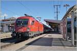 Die ÖBB 1116 273 hat in Singen von der SBB Re 4/4 II 11161 den IC Zürich Stuttgart übernommen. Der Lokführer wartet auf den Abfahrtsbefehl.

19. September 2022