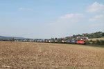 1116 276-7 zieht ein LKW-Walter Zug kurz vor Treuchtlingen bei Wettelsheim gen Süden.