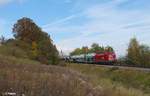 1116 193 zieht einen VW-Autotransportzug bei Fahlenbach gen Süden.