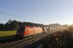 1116 252 mit einem Containerzug am morgen des 10.