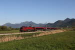 1116 219 aus Salzburg kommend am 29. April 2026 bei Bernau am Chiemsee.
