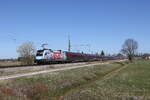 1116 241  OTTO Payback  befand sich am Zugende eines Railjets nach Salzburg. Aufgenommen am 13. M�rz 2026 bei �bersee am Chiemsee.