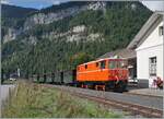 Nachdem bei der für den heutigen Tag vorgesehen Dampflok der BWB ein Defekt aufgetreten war, wurde in Bezau rasch die (ex) ÖBB 2095.13 aus dem Schuppen geholt, um dem Vormittagszug doch wie geplant fahren zu können. Ein perfektes Beispiel von Flexibilität! 
Das Bild zeigt die (ex) ÖBB 2095.13 mit ihrem  Dampf -Zug bei der Ankunft in Schwarzenberg. 
In der Zwischenzeit wurde in Bezau eine andere Dampflok angeheizt, so dass der Nachmittagszug mit Dampf geführt wurde.

15. Sept. 2024 