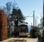 Der Triebwagen 502, ein dreiteiliger vierachsiger Zweirichtungs-Niederflur-Gelenktriebwagen vom Typ Bombardier „Mountainrunner“ verlsst am 04 April 2025 die Bergstation Pstlingberg (519